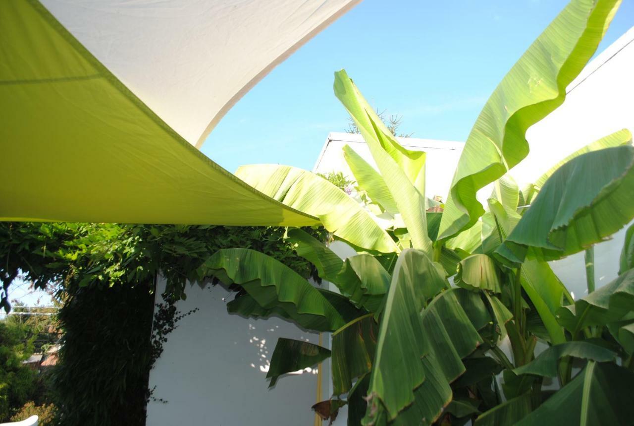 Chambres D'Hotes La Tribu Quévreville-la-Poterie Exterior foto